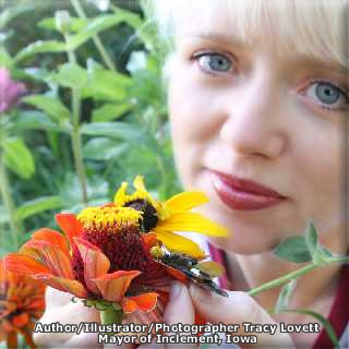 Tracy Lovett - Mayor of Inclement Iowa
