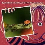 Raining Ladybugs - Pg23